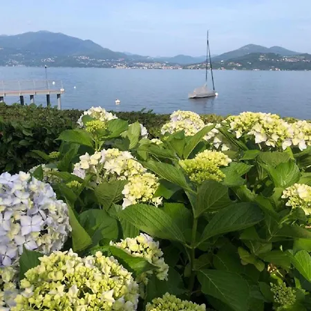 Gioia Оджеббио